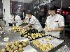 吉云集团欢乐过中秋