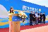 “趣”享健康运动· “师”展青春活力│集团2024年职工体育趣味运动会圆满举行